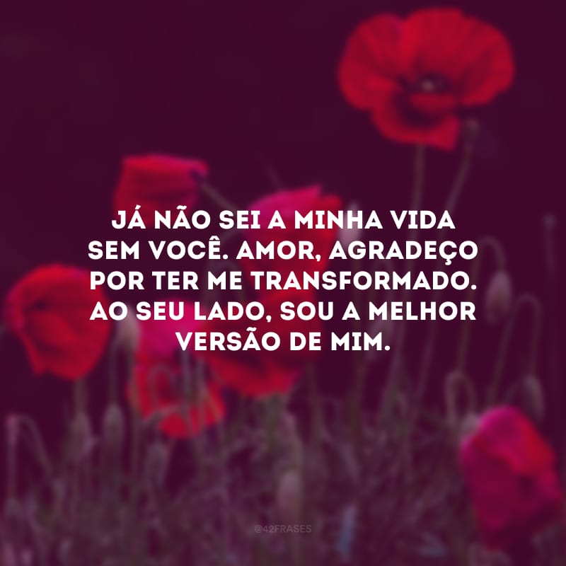 Já não sei a minha vida sem você. Amor, agradeço por ter me transformado. Ao seu lado, sou a melhor versão de mim.