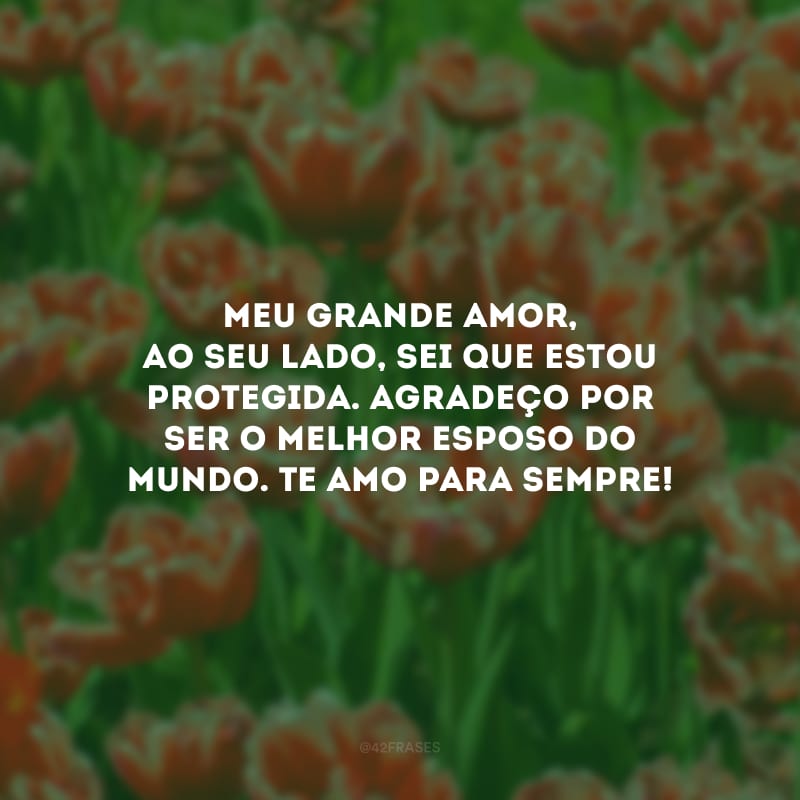 Meu grande amor, ao seu lado, sei que estou protegida. Agradeço por ser o melhor esposo do mundo. Te amo para sempre!