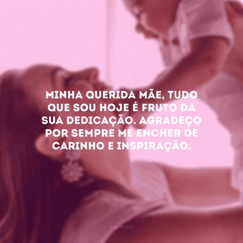 Minha querida mãe, tudo que sou hoje é fruto da sua dedicação. Agradeço por sempre me encher de carinho e inspiração.