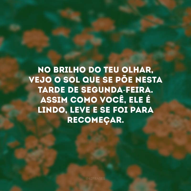 No brilho do teu olhar, vejo o sol que se põe nesta tarde de segunda-feira. Assim como você, ele é lindo, leve e se foi para recomeçar.