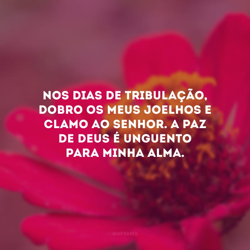 Nos dias de tribulação, dobro os meus joelhos e clamo ao Senhor. A paz de Deus é unguento para minha alma.