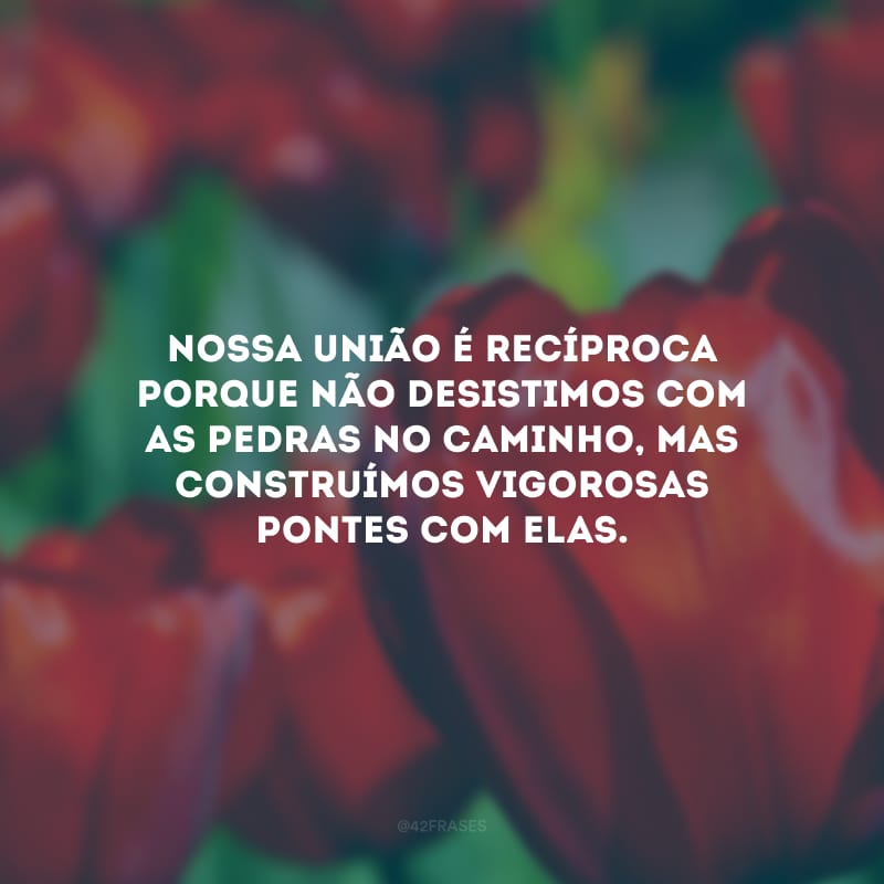 Nossa união é recíproca porque não desistimos com as pedras no caminho, mas construímos vigorosas pontes com elas.