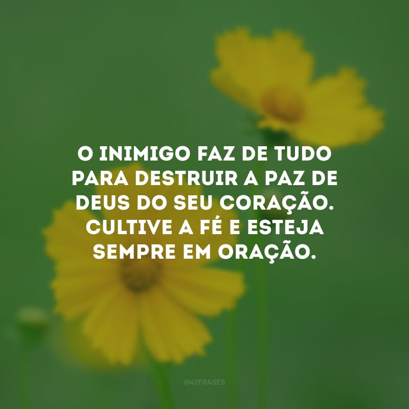 O inimigo faz de tudo para destruir a paz de Deus do seu coração. Cultive a fé e esteja sempre em oração.