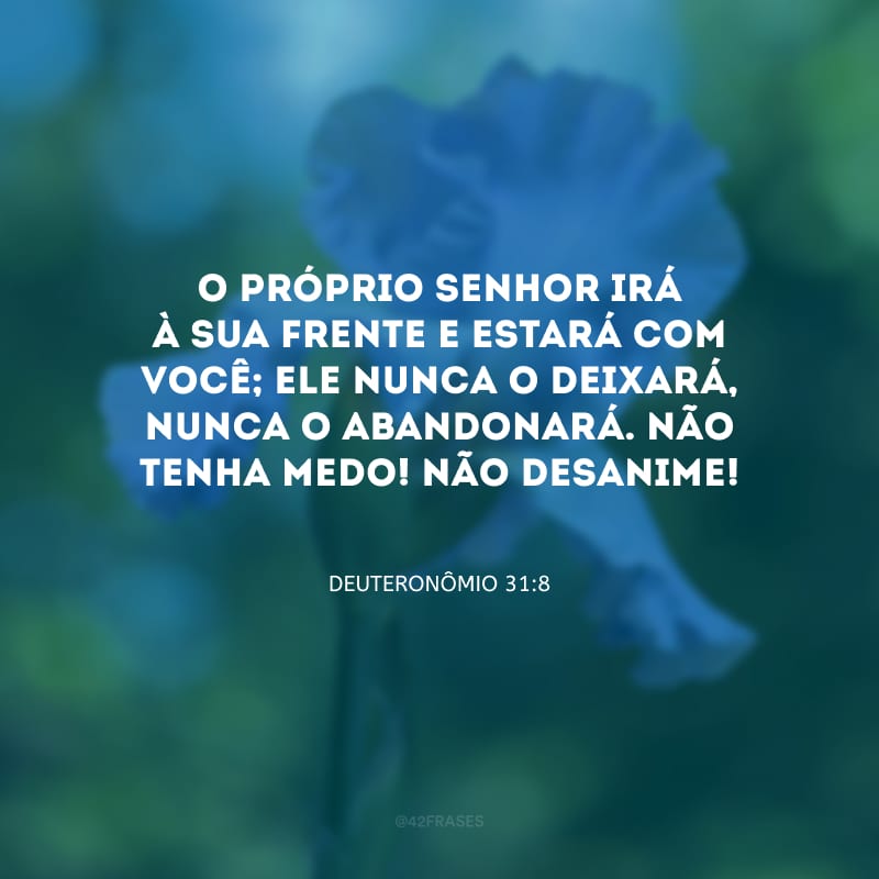 O próprio Senhor irá à sua frente e estará com você; ele nunca o deixará, nunca o abandonará. Não tenha medo! Não desanime!