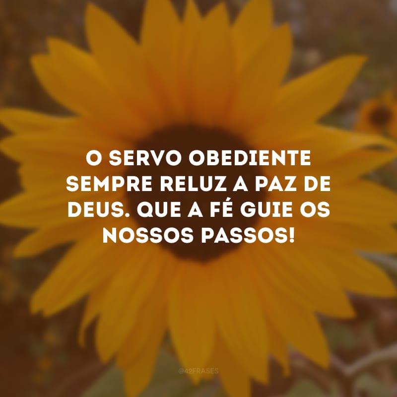 O servo obediente sempre reluz a paz de Deus. Que a fé guie os nossos passos!