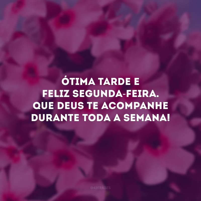 Ótima tarde e feliz segunda-feira. Que Deus te acompanhe durante toda a semana!