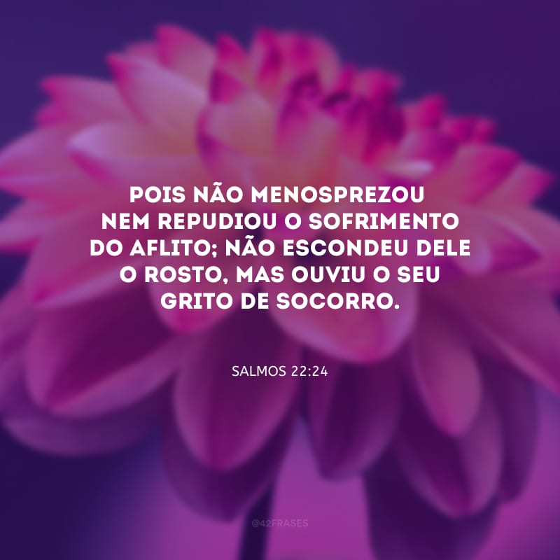 Pois não menosprezou
nem repudiou o sofrimento do aflito; não escondeu dele o rosto, mas ouviu o seu grito de socorro.
