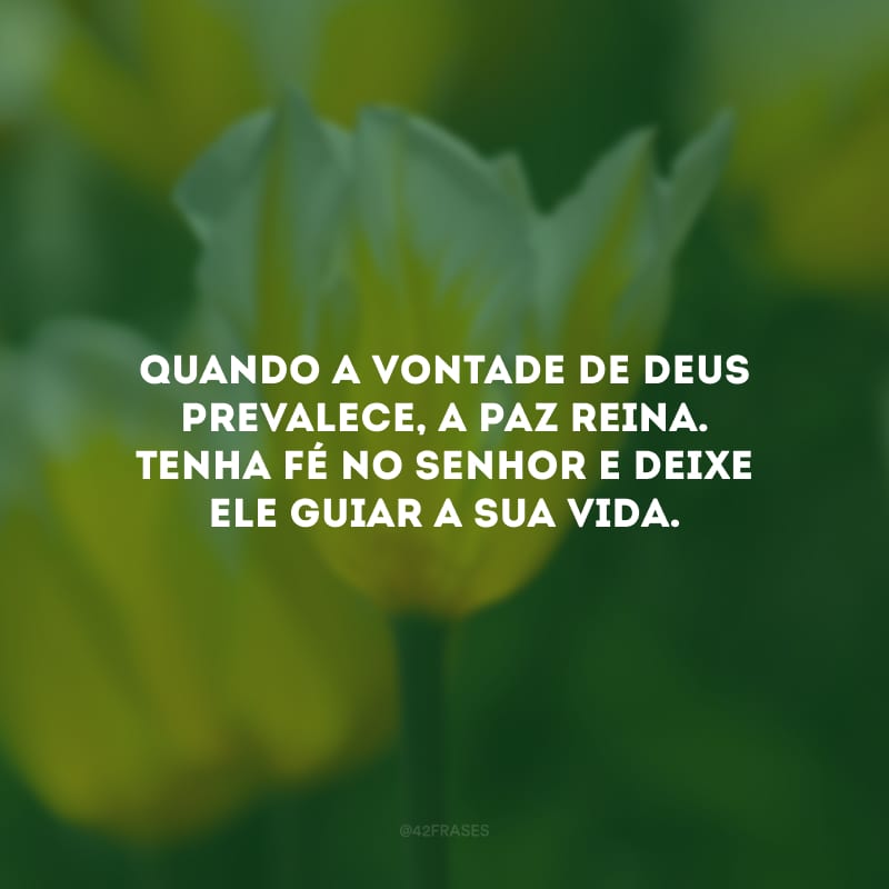 Quando a vontade de Deus prevalece, a paz reina. Tenha fé no Senhor e deixe Ele guiar a sua vida.