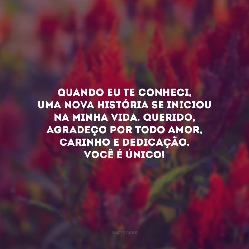 Quando eu te conheci, uma nova história se iniciou na minha vida. Querido, agradeço por todo amor, carinho e dedicação. Você é único!