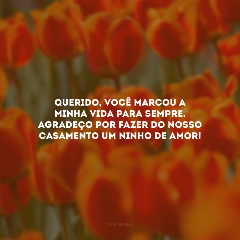 Querido, você marcou a minha vida para sempre. Agradeço por fazer do nosso casamento um ninho de amor!