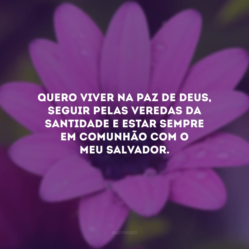 Quero viver na paz de Deus, seguir pelas veredas da santidade e estar sempre em comunhão com o meu Salvador.