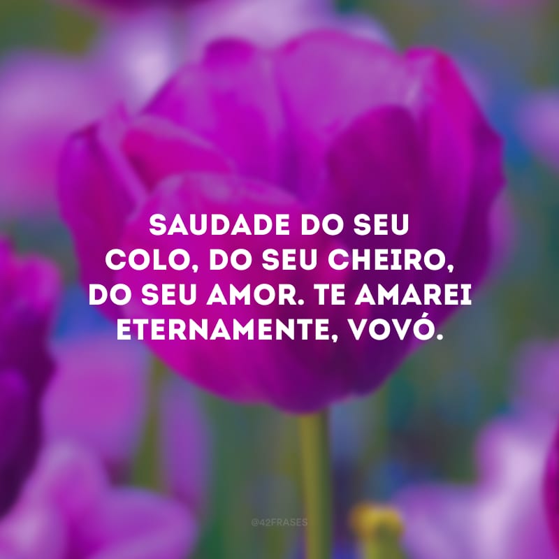 Saudade do seu colo, do seu cheiro, do seu amor. Te amarei eternamente, vovó.