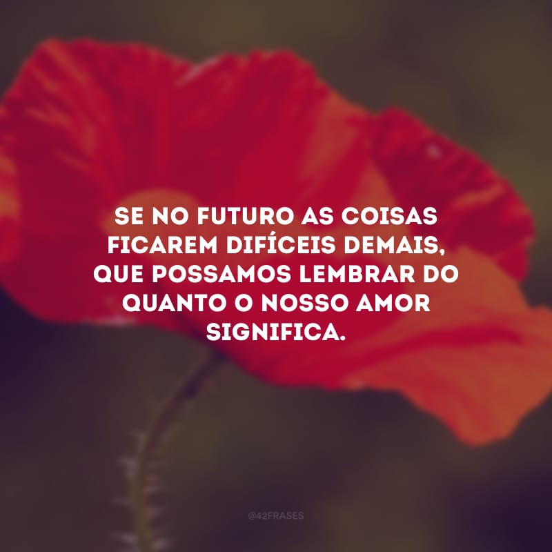 Se no futuro as coisas ficarem difíceis demais, que possamos lembrar do quanto o nosso amor significa.