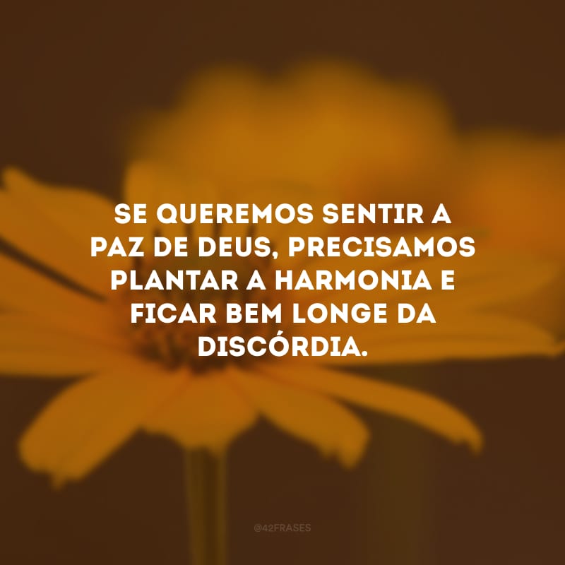 Se queremos sentir a paz de Deus, precisamos plantar a harmonia e ficar bem longe da discórdia.