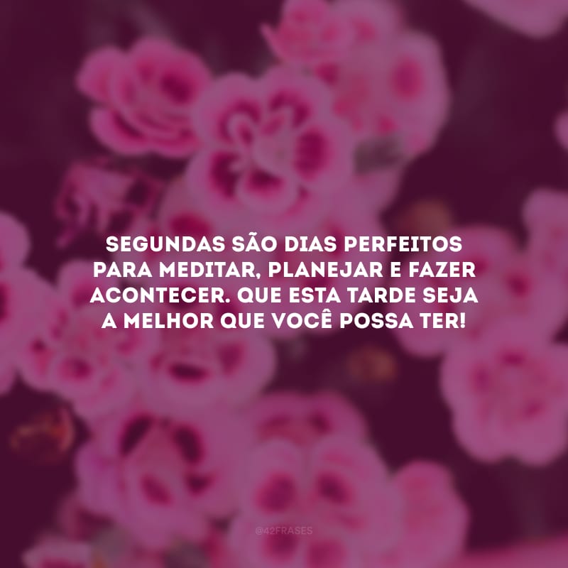 Segundas são dias perfeitos para meditar, planejar e fazer acontecer. Que esta tarde seja a melhor que você possa ter!