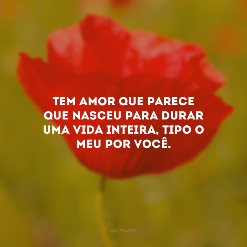 Tem amor que parece que nasceu para durar uma vida inteira, tipo o meu por você.