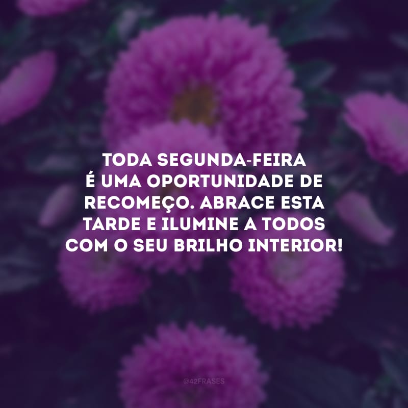 Toda segunda-feira é uma oportunidade de recomeço. Abrace esta tarde e ilumine a todos com o seu brilho interior!