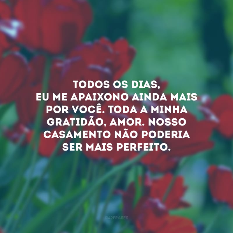 Todos os dias, eu me apaixono ainda mais por você. Toda a minha gratidão, amor. Nosso casamento não poderia ser mais perfeito.