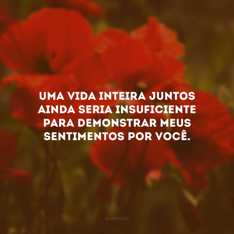 Uma vida inteira juntos ainda seria insuficiente para demonstrar meus sentimentos por você.