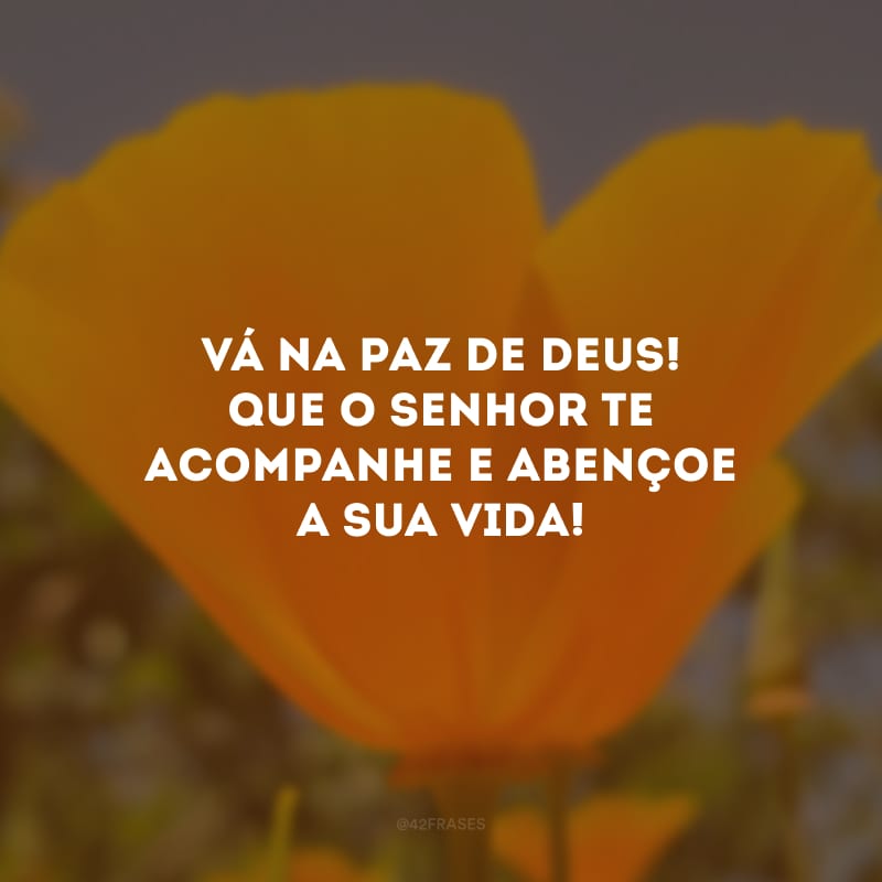 Vá na paz de Deus! Que o Senhor te acompanhe e abençoe a sua vida!