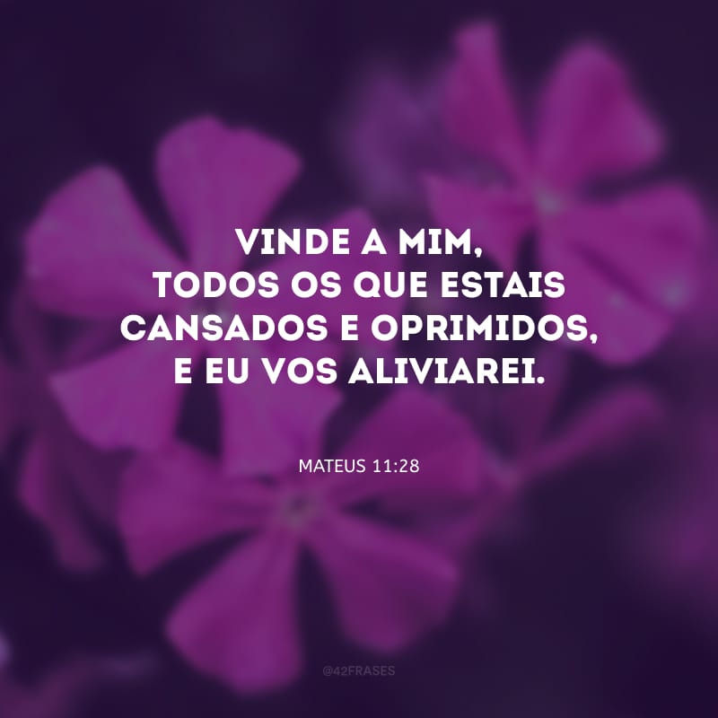 Vinde a mim, todos os que estais cansados e oprimidos, e eu vos aliviarei.
