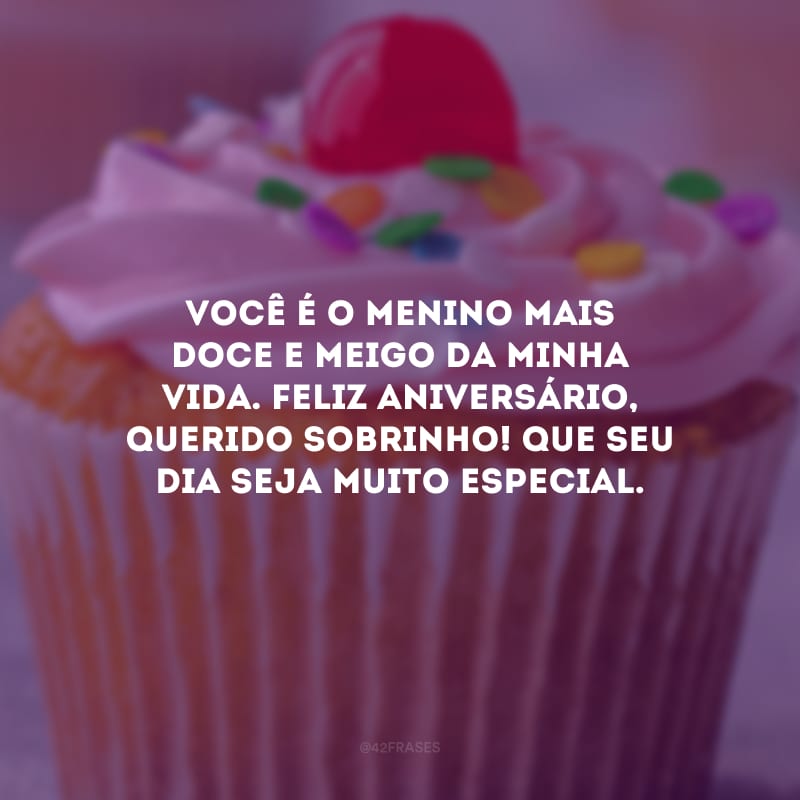 Você é o menino mais doce e meigo da minha vida. Feliz aniversário, querido sobrinho! Que seu dia seja muito especial.