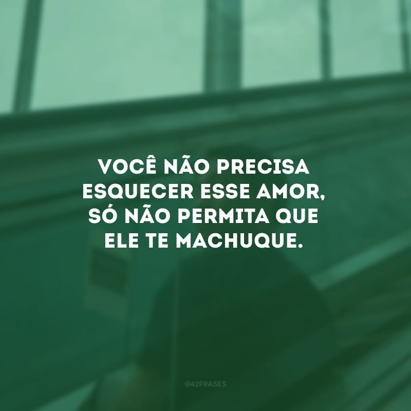 Você não precisa esquecer esse amor, só não permita que ele te machuque.