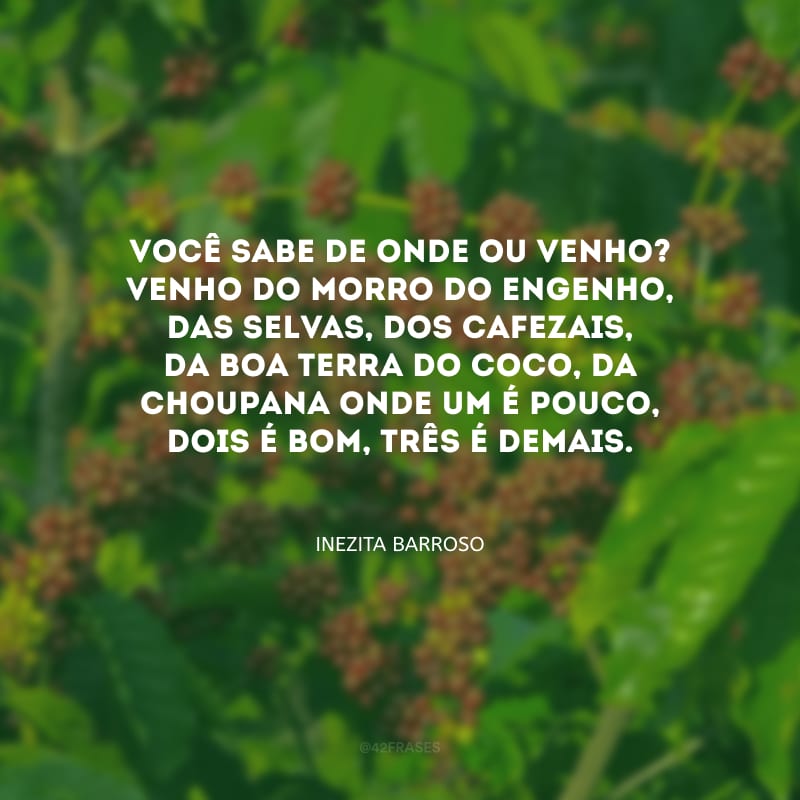 Você sabe de onde ou venho? Venho do Morro do Engenho, das selvas, dos cafezais, da boa terra do coco, da choupana onde um é pouco, dois é bom, três é demais.