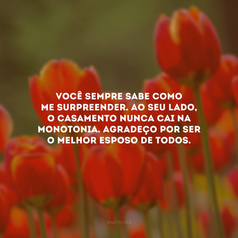 Você sempre sabe como me surpreender. Ao seu lado, o casamento nunca cai na monotonia. Agradeço por ser o melhor esposo de todos.