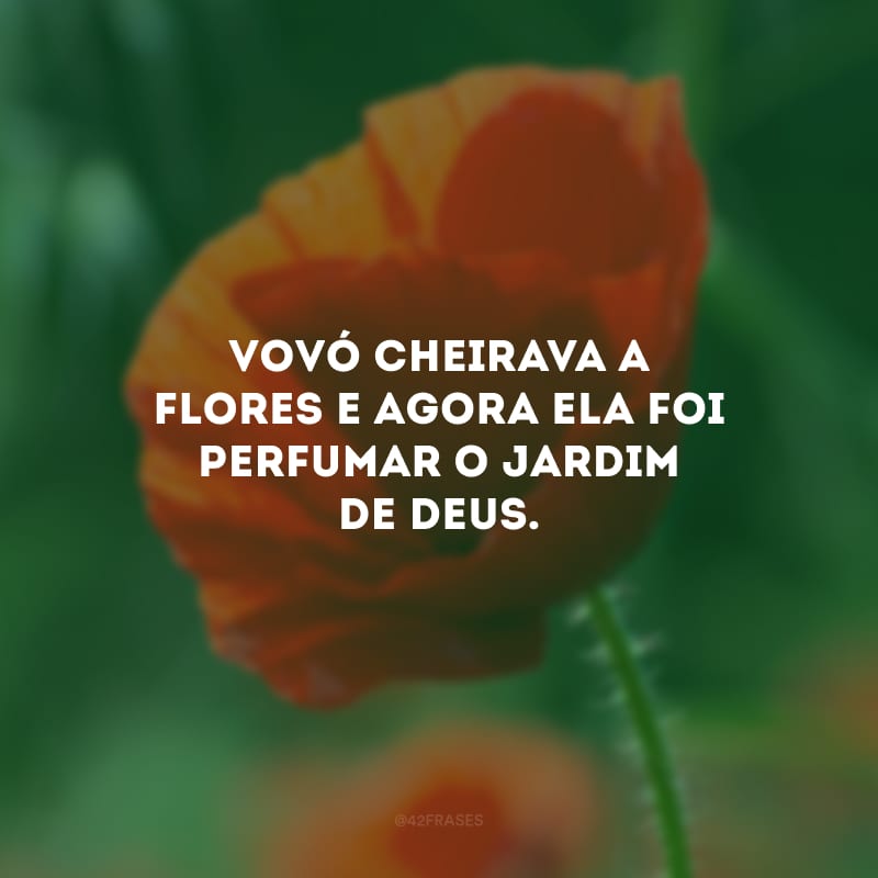 Vovó cheirava a flores e agora ela foi perfumar o jardim de Deus. 