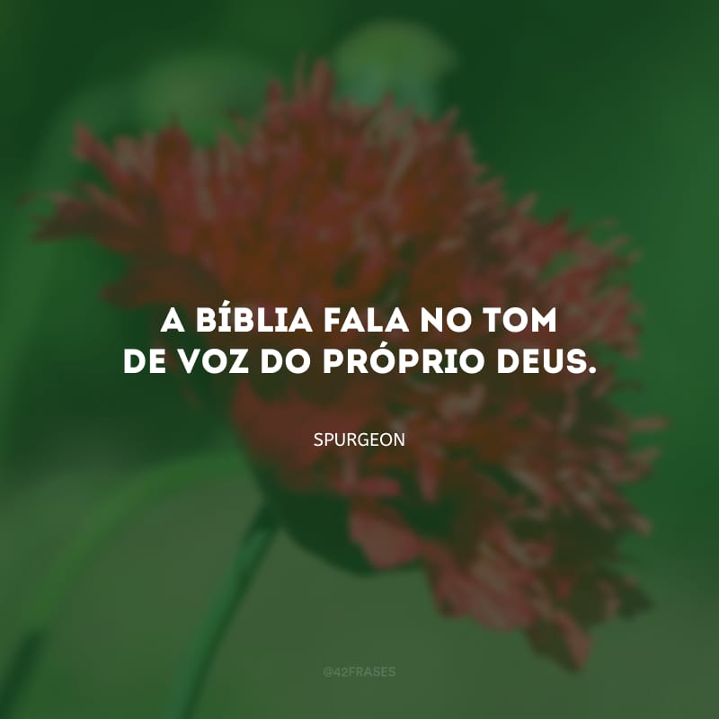 A Bíblia fala no tom de voz do próprio Deus.