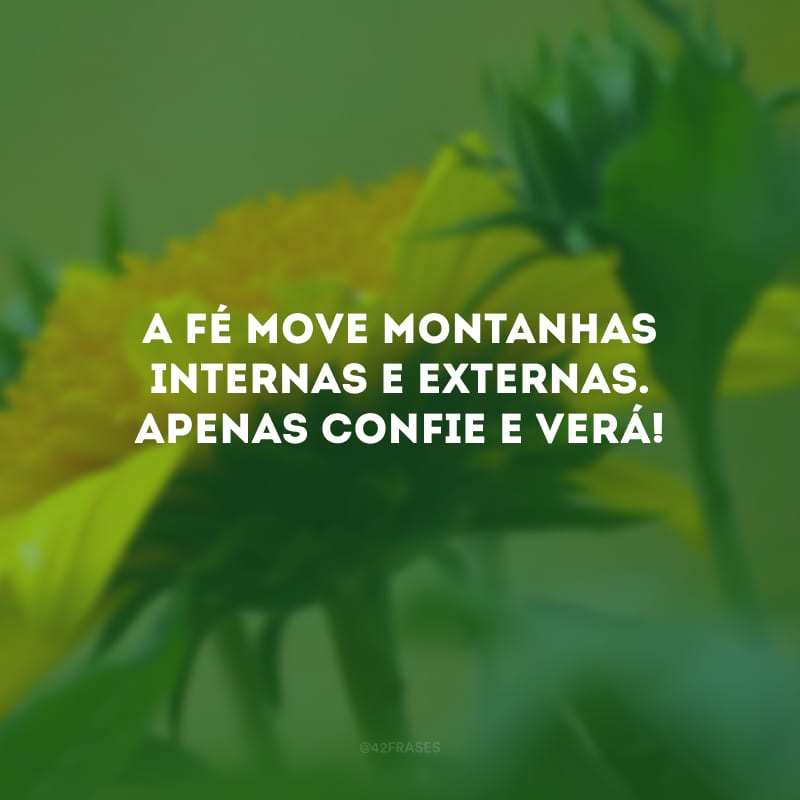 A fé move montanhas internas e externas. Apenas confie e verá!