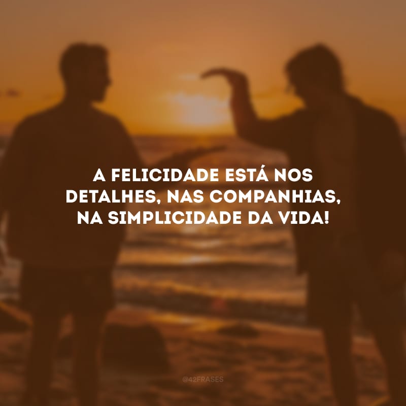 A felicidade está nos detalhes, nas companhias, na simplicidade da vida!