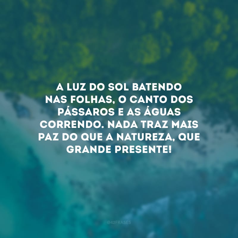 A luz do sol batendo nas folhas, o canto dos pássaros e as águas correndo. Nada traz mais paz do que a natureza, que grande presente!
