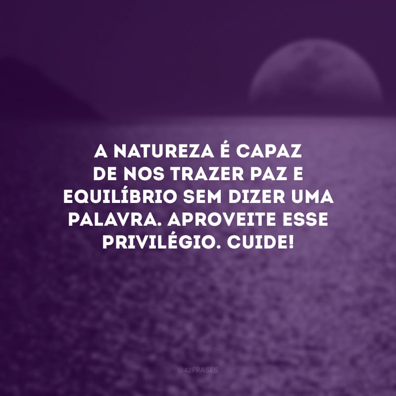 A natureza é capaz de nos trazer paz e equilíbrio sem dizer uma palavra. Aproveite esse privilégio. Cuide!
