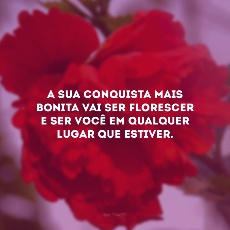 A sua conquista mais bonita vai ser florescer e ser você em qualquer lugar que estiver.