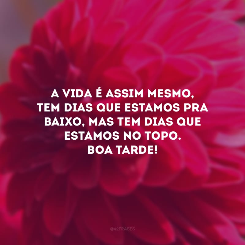 A vida é assim mesmo, tem dias que estamos pra baixo, mas tem dias que estamos no topo. Boa tarde! 