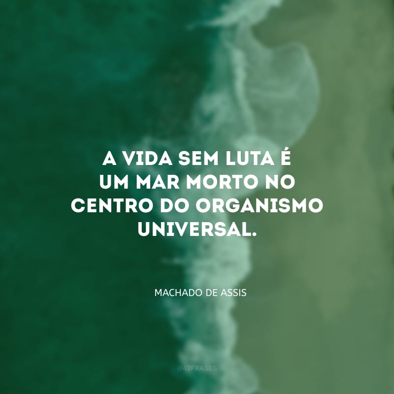 A vida sem luta é um mar morto no centro do organismo universal.