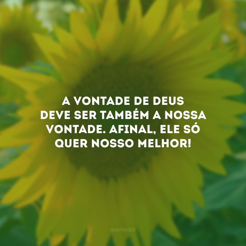 A vontade de Deus deve ser também a nossa vontade. Afinal, Ele só quer nosso melhor!