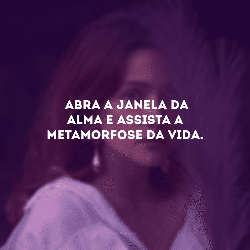 Abra a janela da alma e assista a metamorfose da vida. 