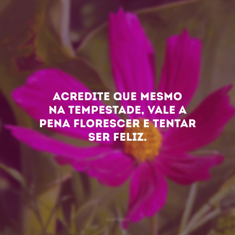 Acredite que mesmo na tempestade, vale a pena florescer e tentar ser feliz.