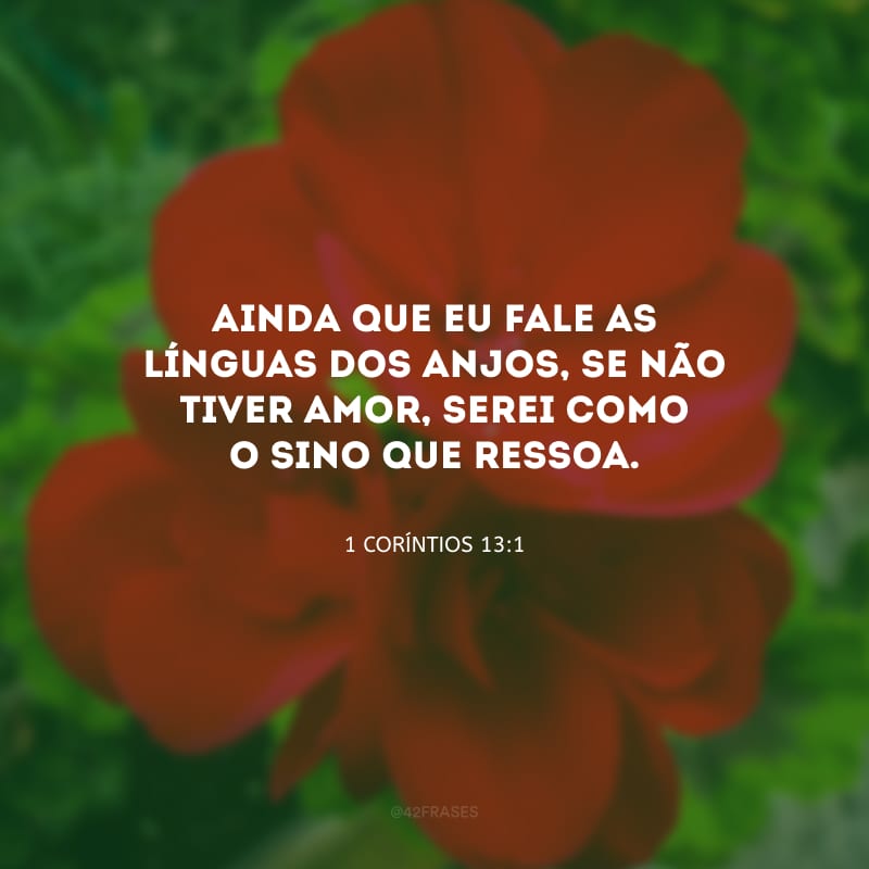 Ainda que eu fale as línguas dos anjos, se não tiver amor, serei como o sino que ressoa.