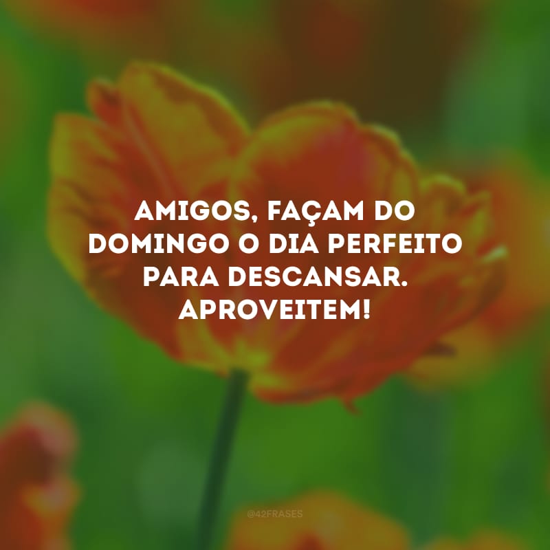 Amigos, façam do domingo o dia perfeito para descansar. Aproveitem!