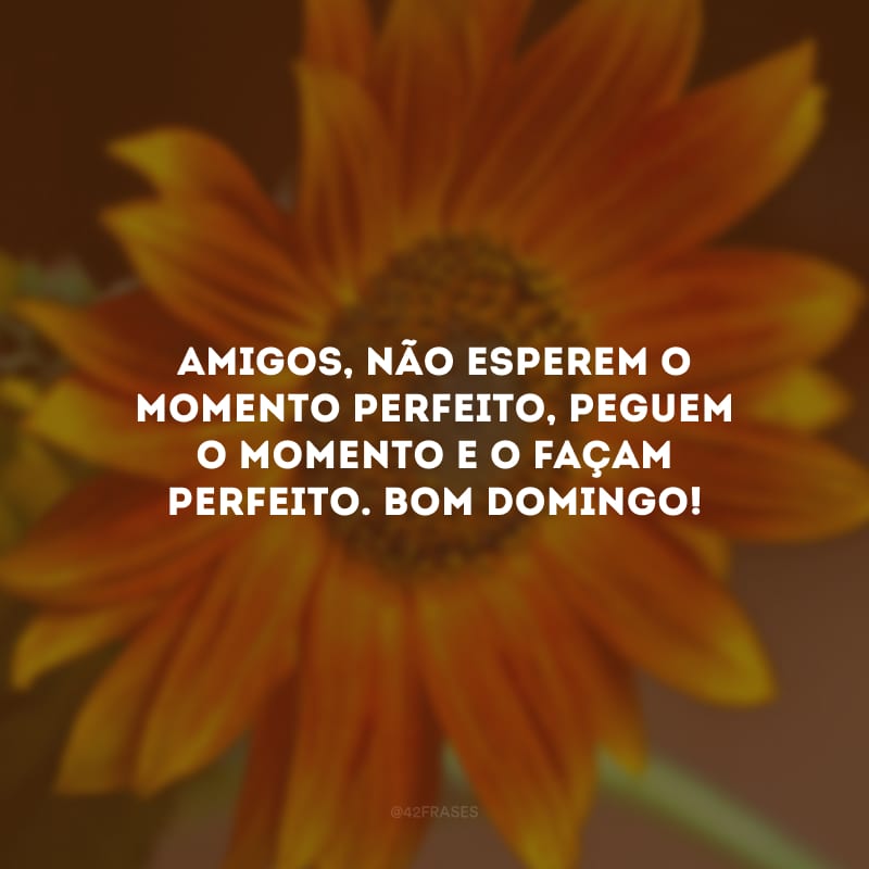 Amigos, não esperem o momento perfeito, peguem o momento e o façam perfeito. Bom domingo!