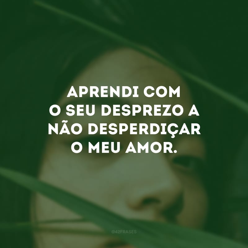 Aprendi com o seu desprezo a não desperdiçar o meu amor.
