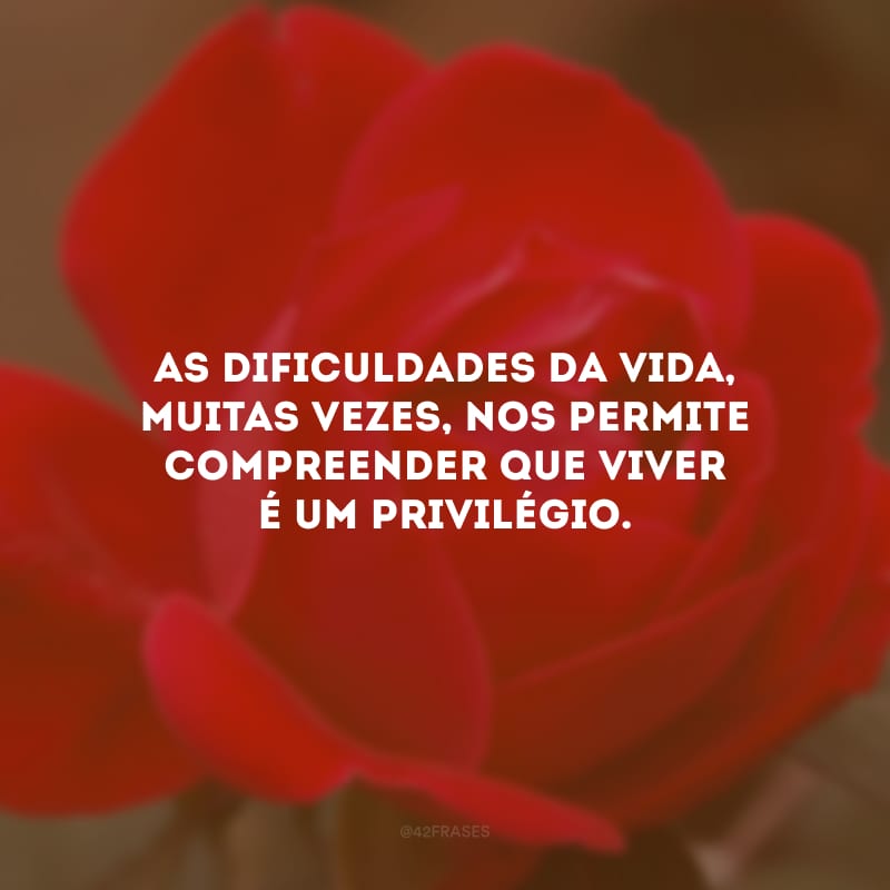 As dificuldades da vida, muitas vezes, nos permite compreender que viver é um privilégio. 