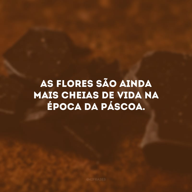 As flores são ainda mais cheias de vida na época da Páscoa.