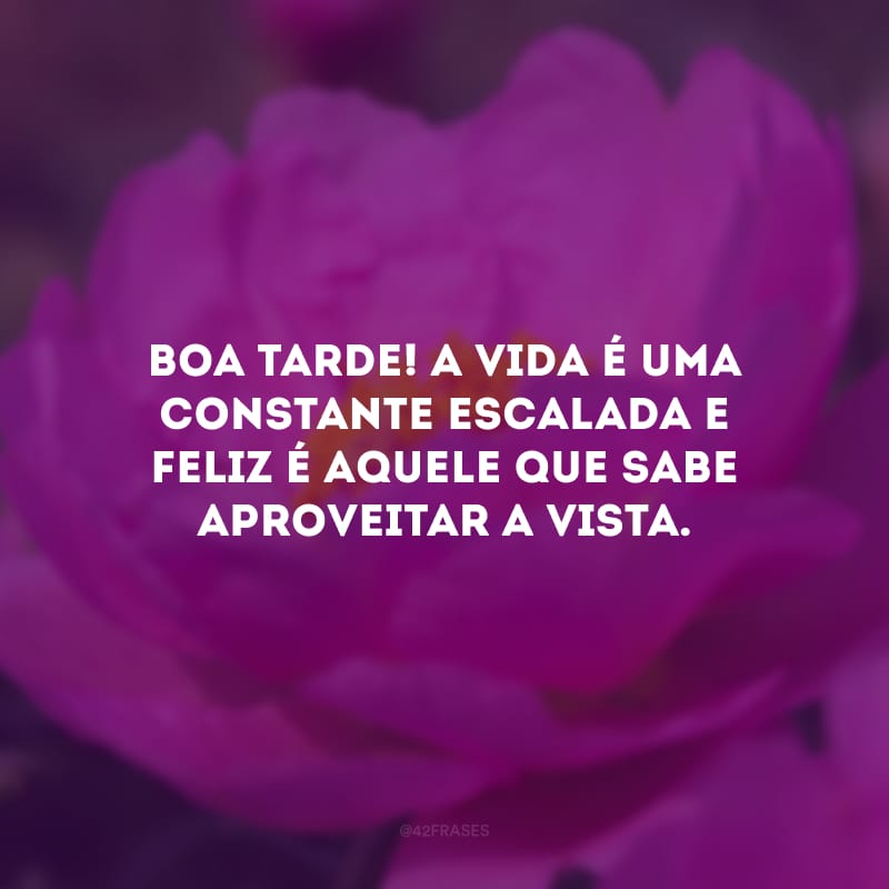 Boa tarde! A vida é uma constante escalada e feliz é aquele que sabe aproveitar a vista. 