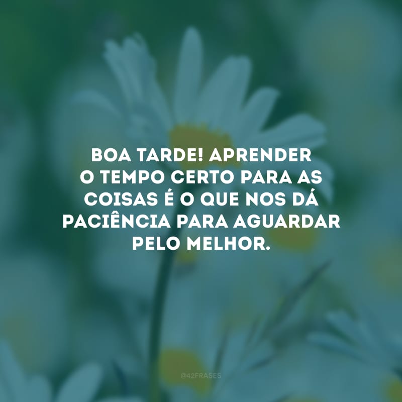 Boa tarde! Aprender o tempo certo para as coisas é o que nos dá paciência para aguardar pelo melhor.