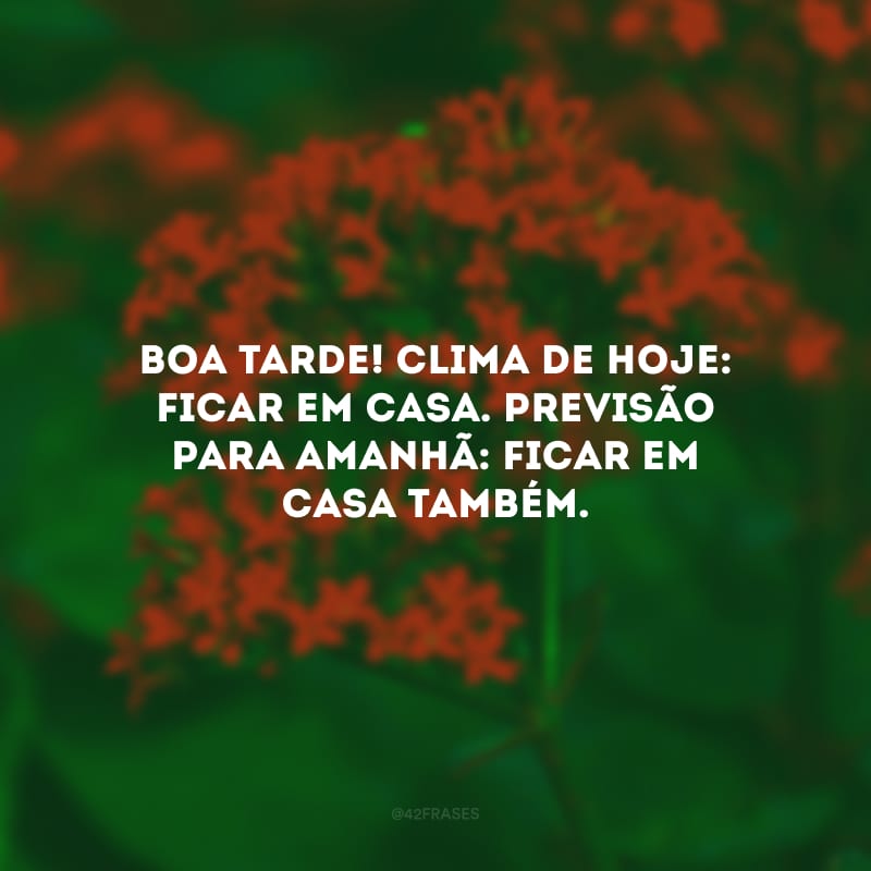 Boa tarde! Clima de hoje: ficar em casa. Previsão para amanhã: ficar em casa também.